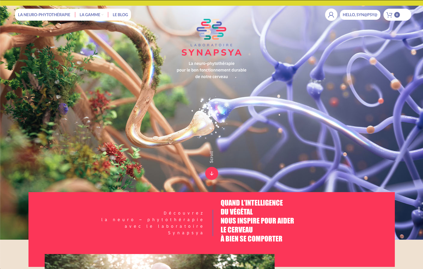 Synapsya2023